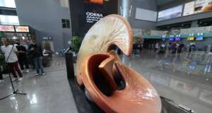 Звуки міста